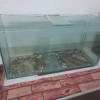 آکواریوم