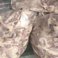 انواع غذای سگوگربه دان جوجه ومرغ عروس هلندی و مینا|لوازم جانبی حیوانات|کرج, شهرک یاس جنوبی|دیوار