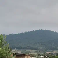 باغ ۶ساله ۳۰۰متری و ۲۰۰متری شموشک
