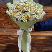 همکار  و فروشنده اقا یا خانم جهت کار درگلفروشی