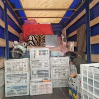 دفتر اثاث کشی وباربری تمام گستر با مناسب ترین قیمت|خدمات حمل و نقل|بهشهر, |دیوار