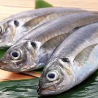 پوستگیر ماهی