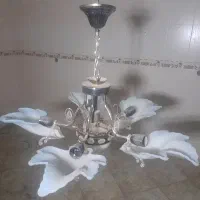 لوستر سالم ۵ شاخه|لوستر و چراغ آویز|تبریز, |دیوار