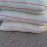 کاه درجه یک رسید|عمدهفروشی|زابل, |دیوار