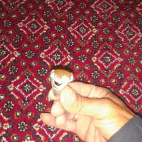 انگشترنقره شرف الشمس