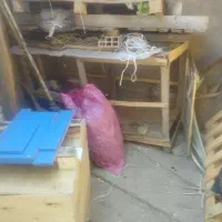 قفس|لوازم جانبی حیوانات|برازجان, |دیوار