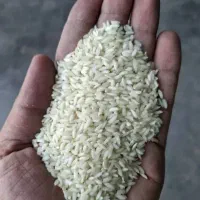 برنج عنبربو