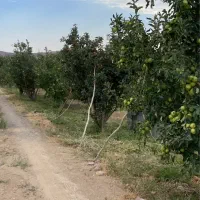 ۱۵۵ متر زمین باغ انشعابات+سند+چکی دماوند جابان|فروش زمین و ملک کلنگی|دماوند, دماوند|دیوار