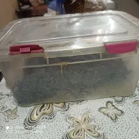 خیک روغن /هیزه روغن|ظروف نگهدارنده، پلاستیکی، یک‌بارمصرف|تهران, سعادت‌آباد|دیوار
