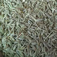 زیره سبز تمیز (۴۰۰ کیلو)|خوردنی و آشامیدنی|سبزوار, کراب|دیوار