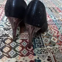 مجلسی|کیف، کفش، کمربند|تهران, مشیریه|دیوار