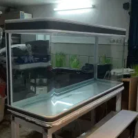 آکواریوم های کوچکتر از ۱ متر یا حدود ۱ متر متنوع|ماهی|قم, سراجه (۱۵ خرداد)|دیوار