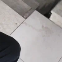 سبوس گندم دامی  قاطی شده با ارد