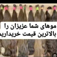 خرید مو بانوان با بالاترین قیمت