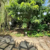 ۷۰۰میلیون زیرقیمت*فایل کاسبی*سنددار*بافت*|فروش خانه و ویلا|امامزاده عبدالله, |دیوار