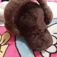 کلاه و گوشگیر