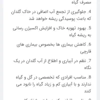 آبخوان سرامیکی (آبیاری هوشمند)|گل و گیاه طبیعی|بیرجند, |دیوار