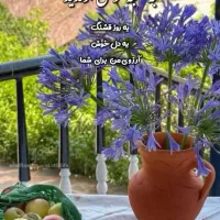 حواله جانبازی