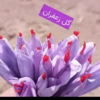 زعفران