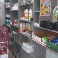 قفسه چوبی از جنس ام دی اف|فروشگاه و مغازه|کارون, |دیوار