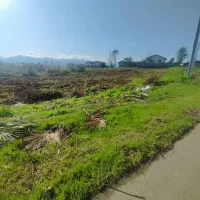 زمین ۲هکتاری مناسب شهرک سازی با سند در لنگرود