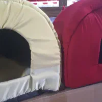 مخیگاه پرنده