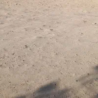 فروش فوری زمین در بوستان جوان|فروش زمین و ملک کلنگی|قم, بوستان جوان|دیوار