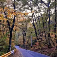 گروه طبیعت گردی