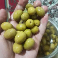 زیتون شور درشت|خوردنی و آشامیدنی|مینودشت, |دیوار