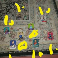 کیمدی باقیمت مناسب قیمت دربالای کیمدی زدم