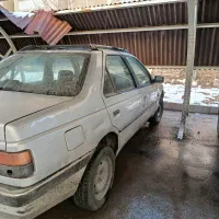 روا سال نقره ای