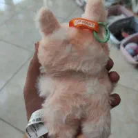 یک عدد لبوبو سکرت|اسباب‌‌بازی|ری, علایین|دیوار