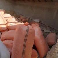 کاه|لوازم جانبی حیوانات|مشهد, الهیه|دیوار