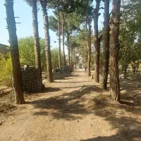 باغ ویلا1950متری/شهریار/دهشاد/میدان نماز/جنت آباد|فروش خانه و ویلا|شهریار, دهشاد بالا|دیوار