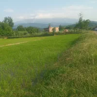 فروش ۱۰۰۰ متر زمین کشاورزی در سراوان