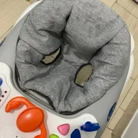 روروئک|کالسکه و لوازم جانبی|رشت, رودبارتان|دیوار