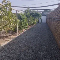 باغ ویلا|فروش خانه و ویلا|تربت‌حیدریه, پائین ولایت|دیوار