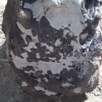 مشکوک به شهاب سنگ