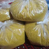 کشک زرد|خوردنی و آشامیدنی|سرخنکلاته, |دیوار