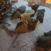 خرید و فروش انواع چوب|خدمات باغبانی و درختکاری|کوهدشت, |دیوار