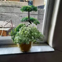 گل مصنوعی|گل مصنوعی|لاهیجان, طالقانی|دیوار