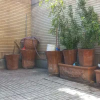 فروش 15 عدد گلدان سفالی بزرگ وسالم|گل و گیاه طبیعی|لنجان, |دیوار