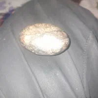 سنگ مرجان زیبا|کلکسیون اشیاء عتیقه|فولادشهر, B4|دیوار