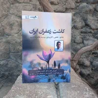 کاشت زعفران رکوردی