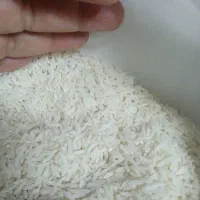 برنج هاشمی درجه یک به شرط پخت عطرو بو عالی