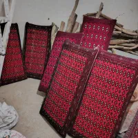 پشتی دست بافت|پشتی|زابل, |دیوار