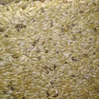 ارزن ریز|لوازم جانبی حیوانات|اصفهان, جاوان|دیوار