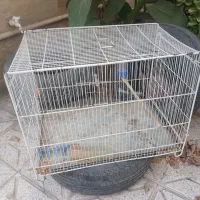 قفس پرنده با آب خوری و دون خوری