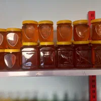 عسل کرمانشاه به شرط کیفیت|خوردنی و آشامیدنی|قم, نوقطار|دیوار