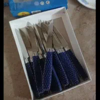 کاسه آرکوپال. مارک پارس اوپال وچاقو|ظروف سرو و پذیرایی|یزد, |دیوار